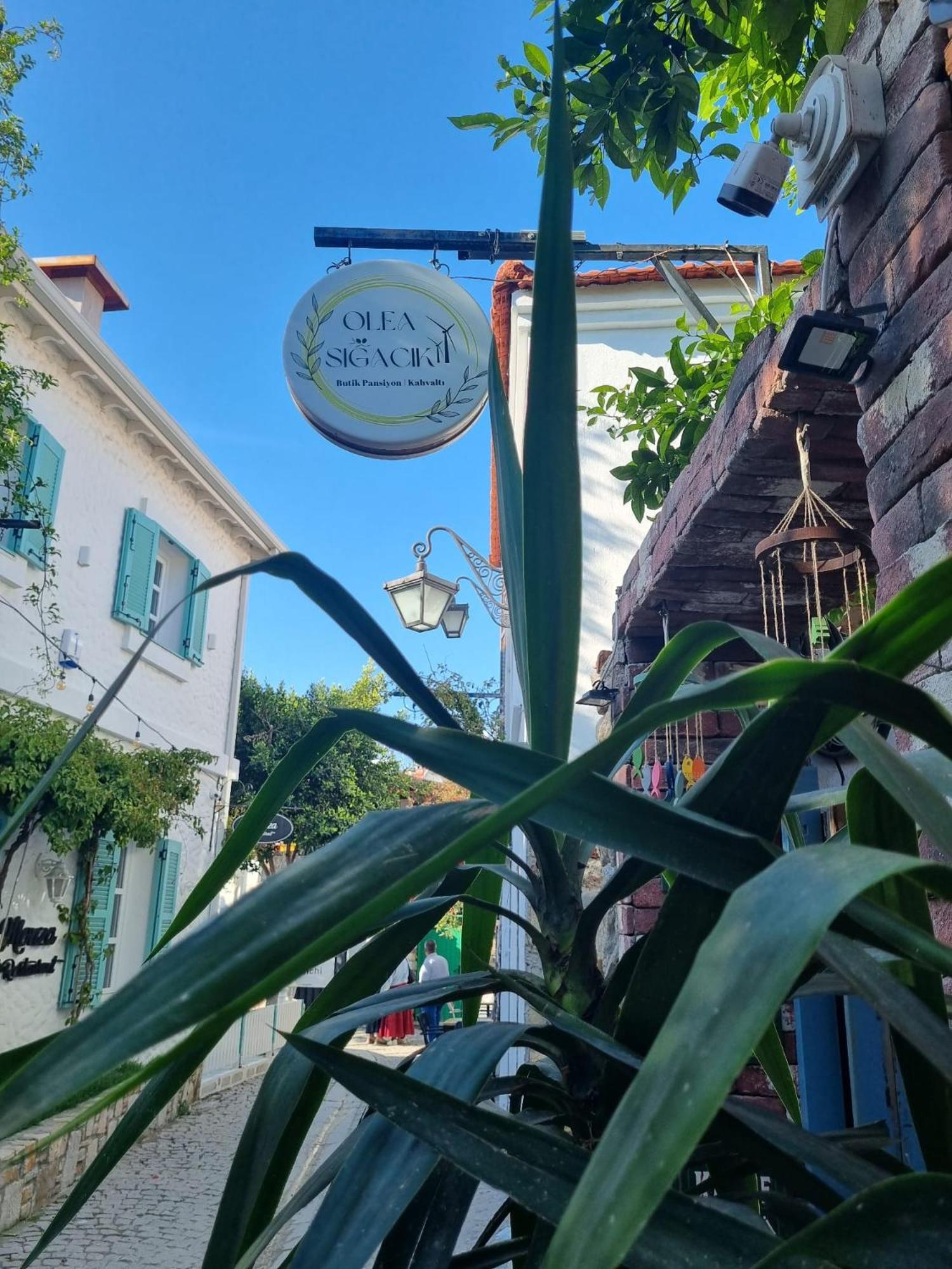 Olea Sigacik Pansiyon & Bistro Seferihisar Zewnętrze zdjęcie